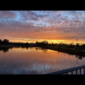 Meet your Posher, Harley